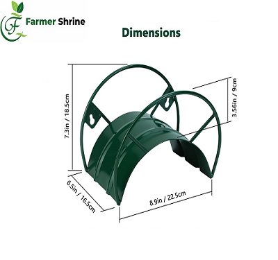 Green moringa leaves herbs